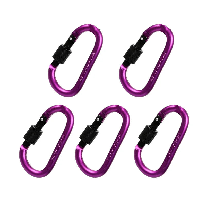 5PCS Aluminium Alloy Carabiner Clip Set